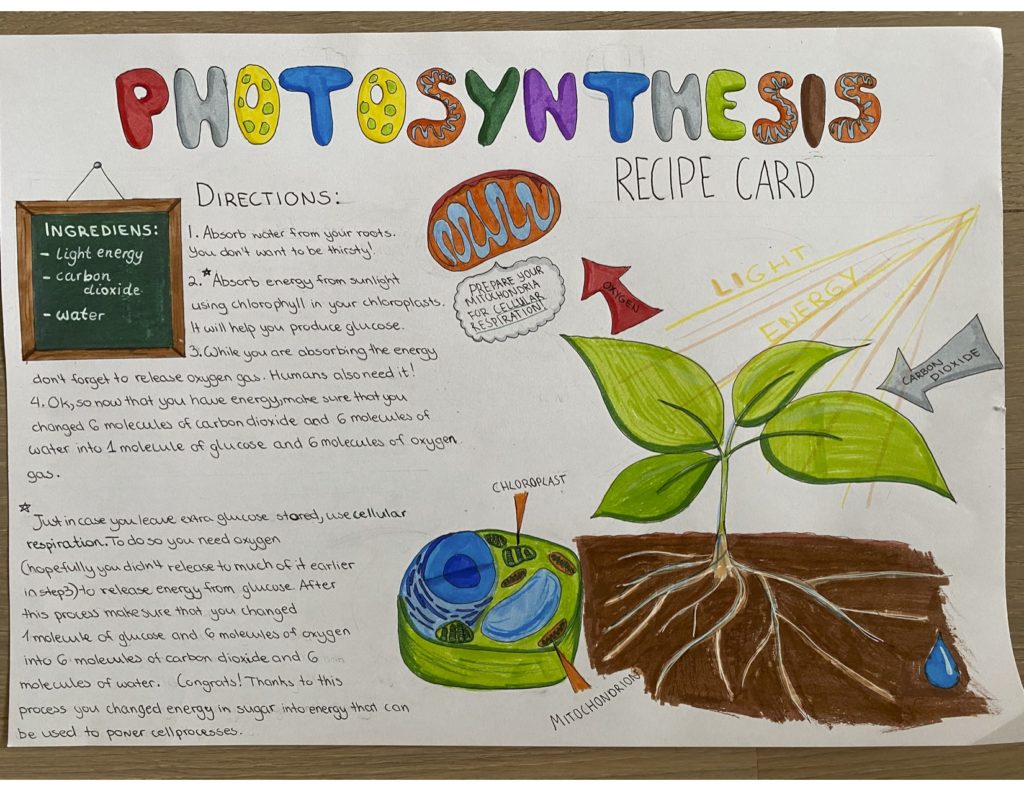 Photosynthesis Recipe 